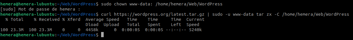 HemeraMediaConseil - Tutoriel WordPress - Téléchargement